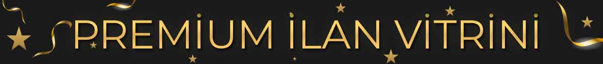 ilan