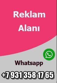 ilan